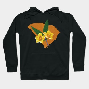 South Carolina Jessamine Hoodie